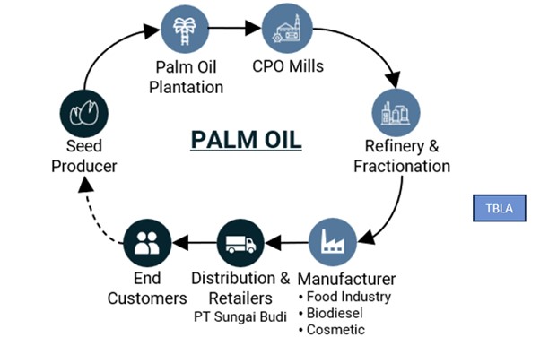 TBLA Palm Oil Supply Chain